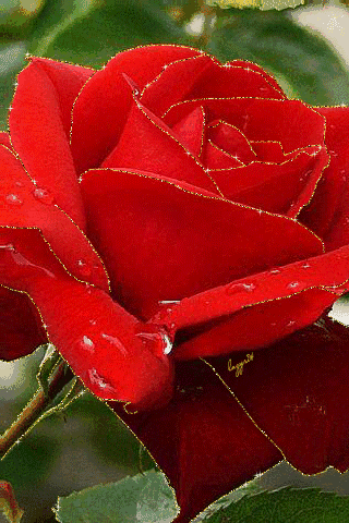 也许,仍会到达不了你希望的山顶,或者在路上就耗光了力气.