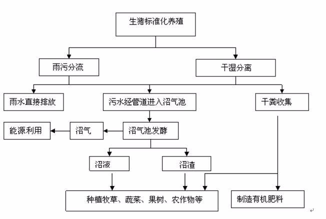 占尽先机的循环生态养猪模式,才是赚大钱的根本!