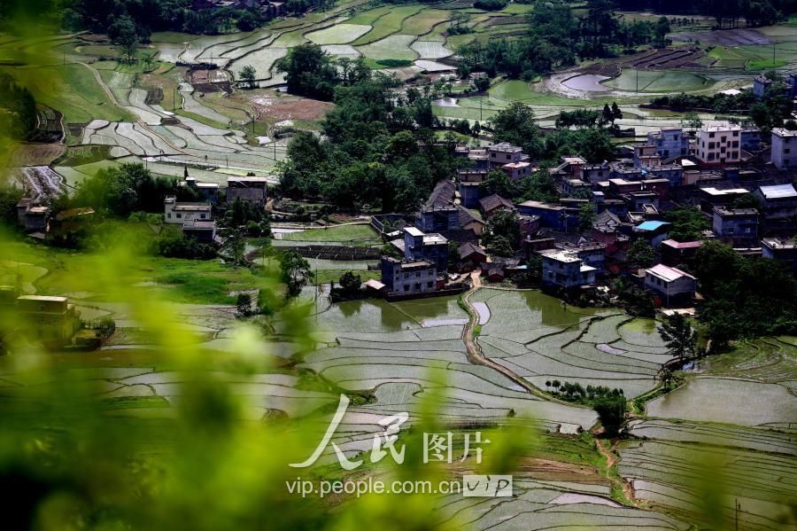 广西全州:立夏时节田园美