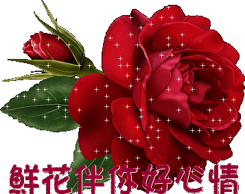 早上好!加倍的祝福送给最在乎的你,祝你开心快乐一整天!