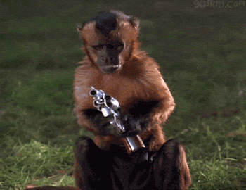 爆笑gif:这才是我心目中最完美的媳妇