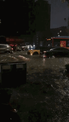 浙江暴雨大雨还将持续!这份雨天防范自救手册请收好!