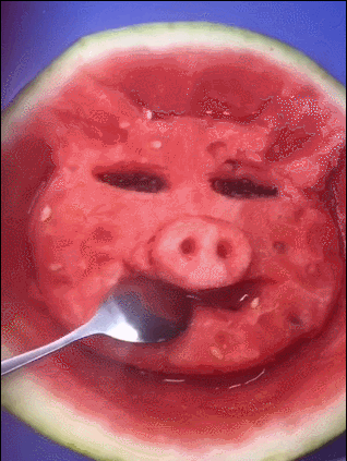 318_423 竖版 竖屏 gif 动态图 动图