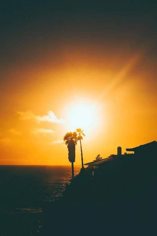 女人梦见鞋丢了三只,遗失的寓意与自我寻找的启示 女人梦见鞋丢了三只,遗失的寓意与自我寻找的启示