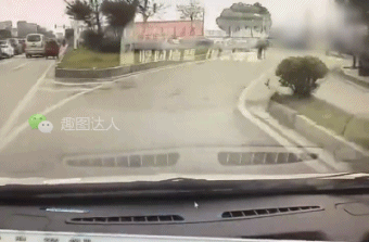 搞笑gif图:大爷,奥斯卡欠你一个影帝奖杯