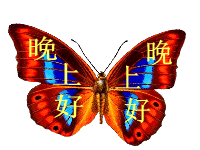 晚上好,晚安祝福送给我最在乎的你!愿你快乐好运,幸福