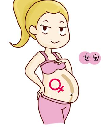 ▼      肚脐上面和下面的妊娠线,   都看不明显,   生女宝宝的