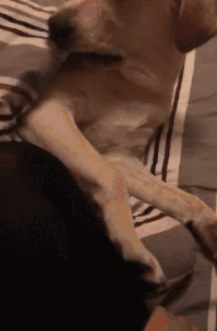 某人到饭店吃饭,对服务员说: