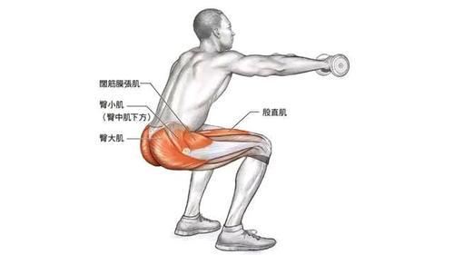 每天练习深蹲,塑造完美身形
