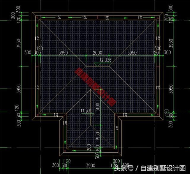 卧室x2,卫生间,大露台(屋顶花园); 外观展示: 剖面图 农村自建房,外观