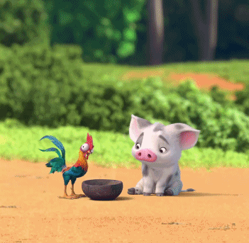 爆笑gif动图:姑娘别这样,人家都开始羡慕猫咪了