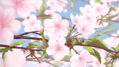 樱花被炒进菜里,做成糕点,这或许也是人们想在春天留住美好的一种