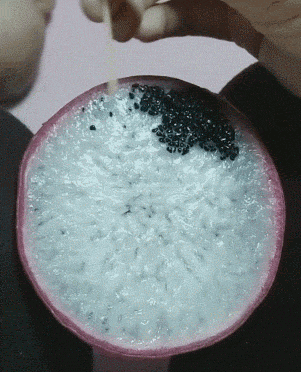 搞笑gif:老公心领神会,立刻给我一个公主抱!