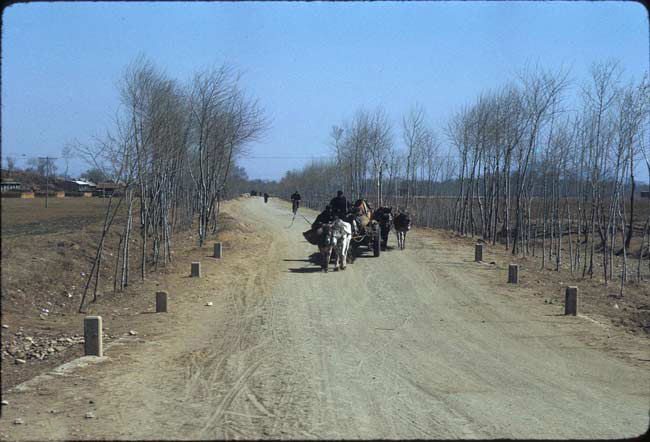 老照片:美国摄影师镜头下1972年河北省农村生活