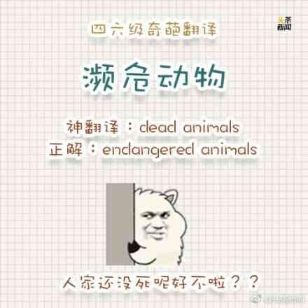 英语四六级奇葩翻译,因缺斯汀泰v奇葩哪些爱情电视剧好看图片