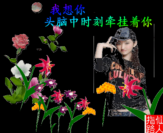 540_440 gif 动态图 动图