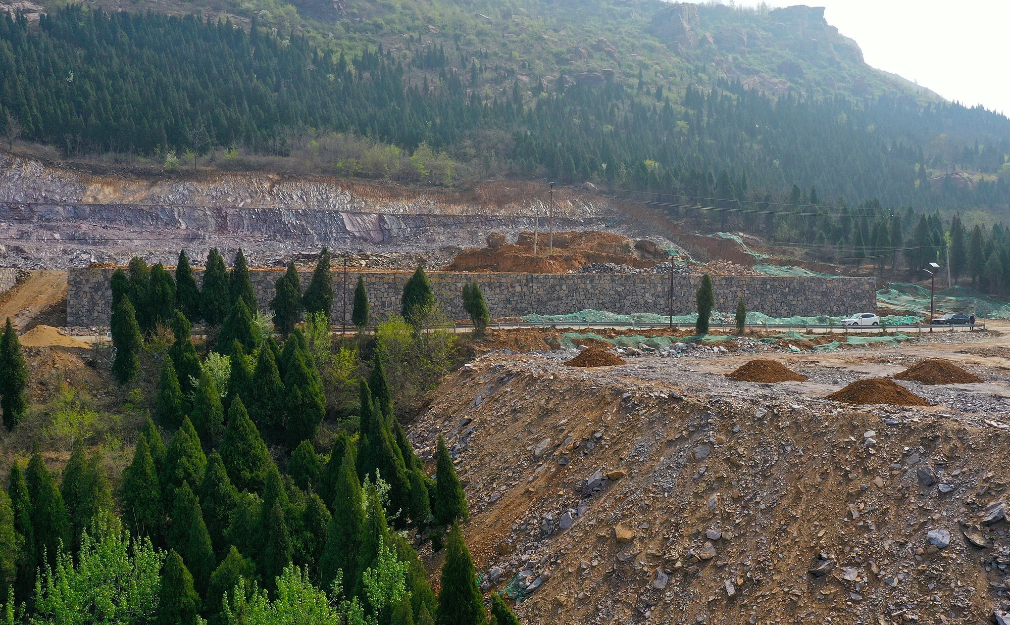 郑州一村庄违建停车场 非法占用林地
