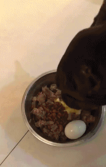 爆笑gif:兄弟,这媳妇别要了吧,选个伴娘走吧