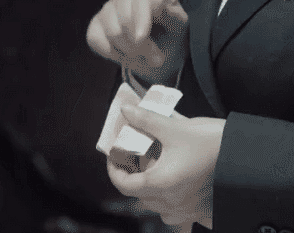 壁纸 动物 狗 狗狗 294_233 gif 动态图 动图