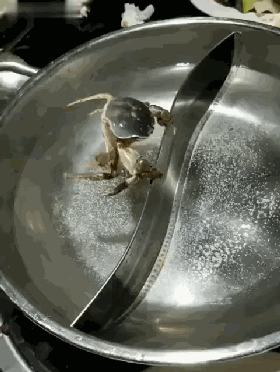 搞笑gif:这年头交女朋友一定要慎重,不然晚上会精神崩溃的