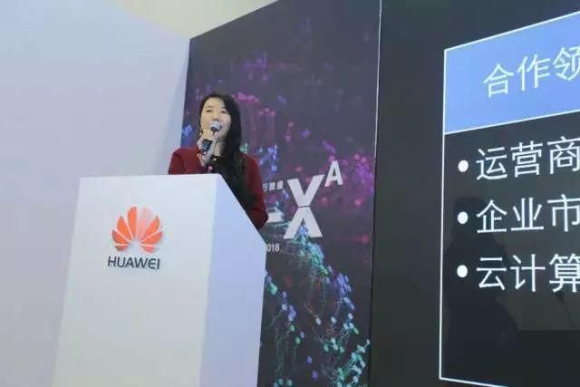 启明星辰高级副总裁李春燕演讲照片