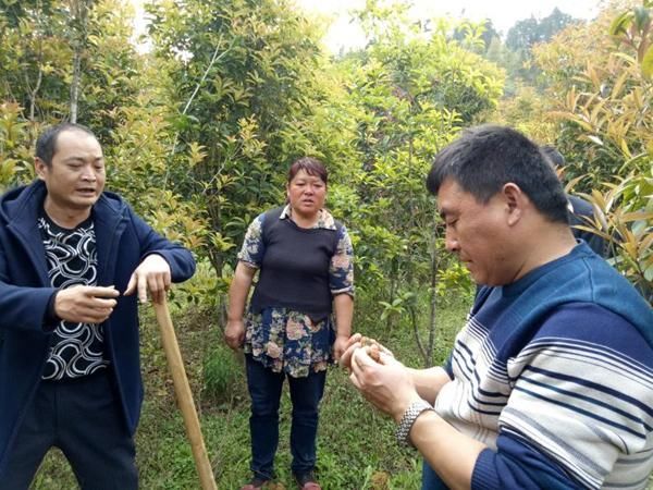 团结报文山讯(通讯员 尹锦川)2018年3月12日至21日,民革云南省委会