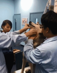 搞笑gif动图 :自拍的人从来不照顾别人的感受?