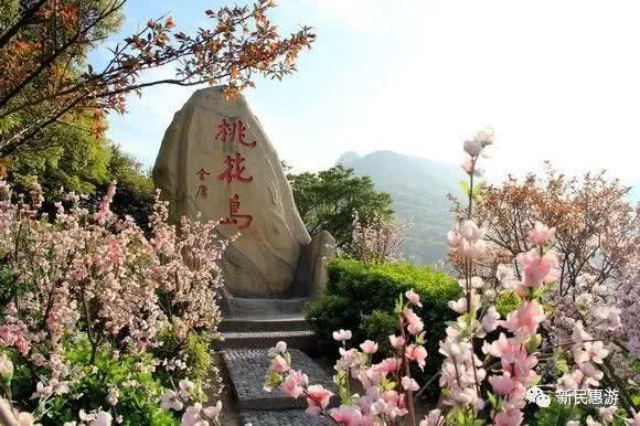 大佛岩景区的主景大佛岩是桃花岛的标志,这里自然景观独特,且蕴含