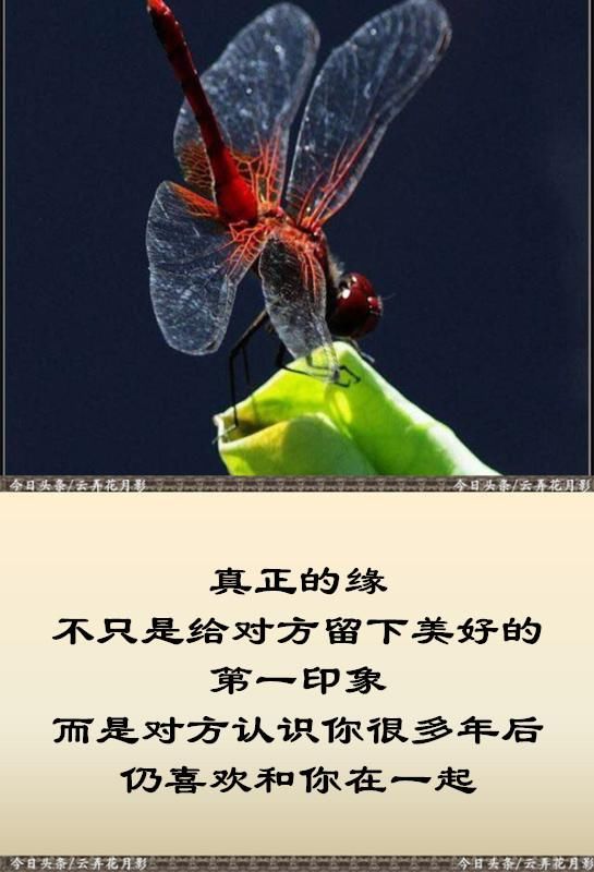 千生百世,缘起缘灭,皆已注定