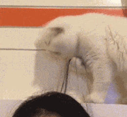 有一个强势的女友是一种怎样的体验