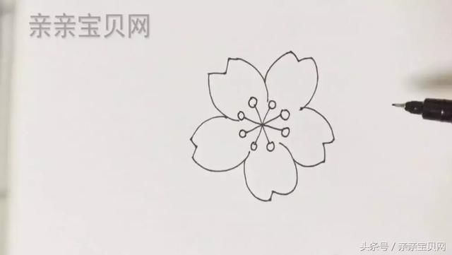 桃花简笔画画法步骤_桃花花瓣简笔画_简笔画青蛙的画法-圈子花园图片