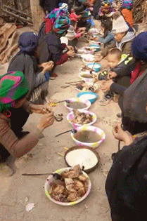 搞笑gif:这突如其来的骚,吓了老子一跳!