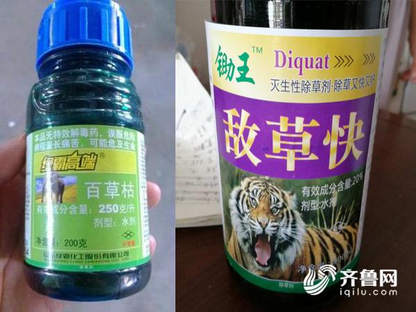 剧毒农药百草枯被禁一年仍在售 中毒者清醒与绝望中死去