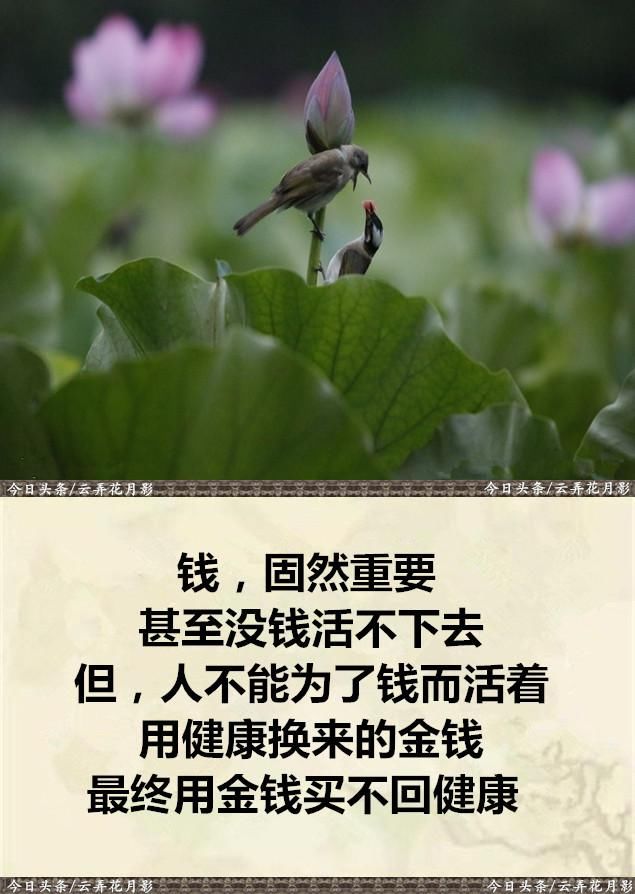 钱为人用,无需多;人为钱活,白忙活!不怕挣得少,最怕没