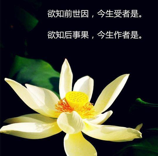 身边的因果实录:人贩子拐卖他人子女,自己的三个女儿被同行拐卖