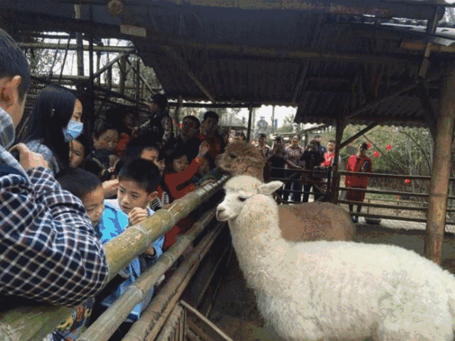 何不趁着这个假期带他们领略一下动物世界的精彩呢?