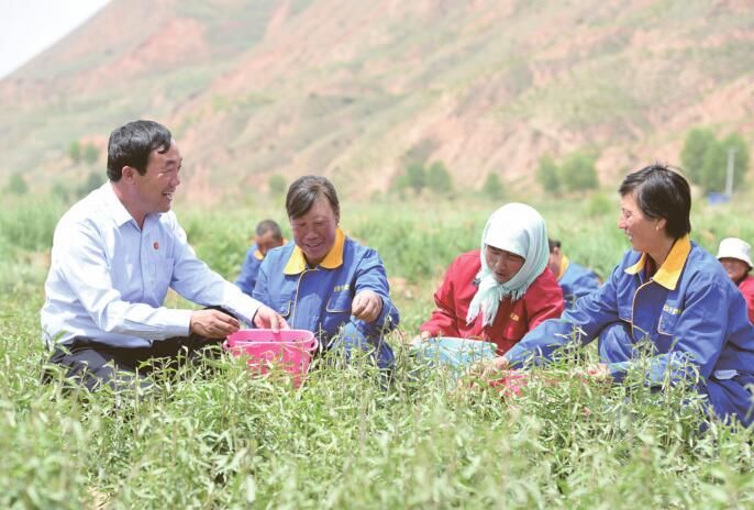 蔡有鹏:让每个村民都能富起来