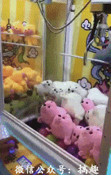 搞笑gif图片:这就是传说中的美丽冻人吧,看着就感觉冷