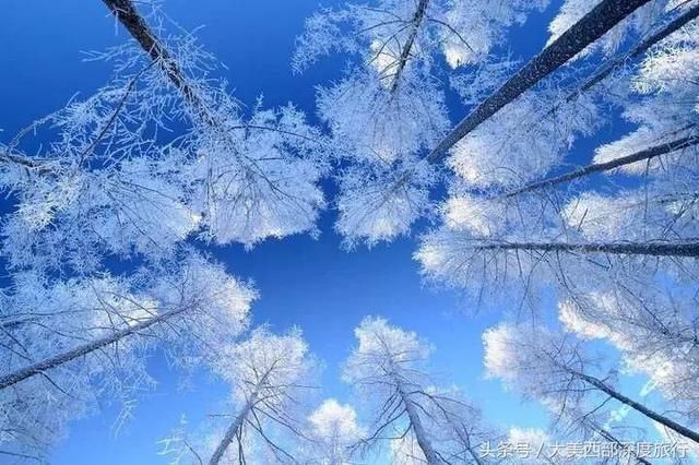 冰雪奇缘图片_冰雪图片_美丽的冰雪图片