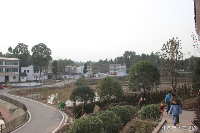 植荒成林,建景脱贫,游崛起的广安市武胜县烈面镇高峰新村