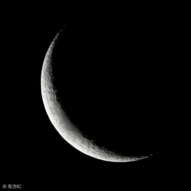 面相知识:清秀眉,新月眉与柳叶眉的区别?图片