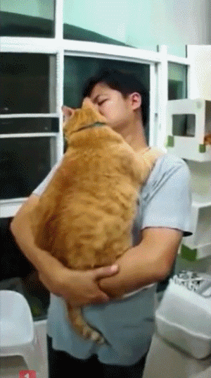 搞笑gif:以为是个小孩子,谁知道…… - 搞笑gif - 乱弹笑话 - powered