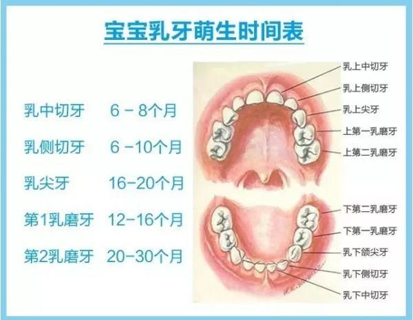 宝宝长牙晚,距离大,别担心,婴儿乳牙问题都告诉你,建议收藏