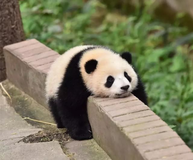 不负春光!这绝对是中国最美的旅游环线,没有之一!