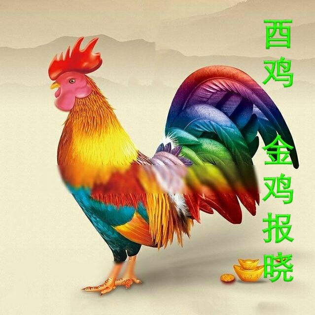 有趣的生肖微信头像,美图加祝福一块送给你