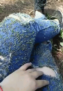 搞笑gif:班里女生一回头,姚明从此不进球!