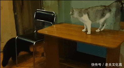 搞笑gif: 确认过眼神, 你是对的人, 不过陶艺都被你玩