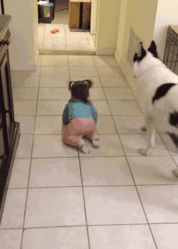 搞笑gif:妹子,是谁给的勇气让你这么穿?梁静茹吗?