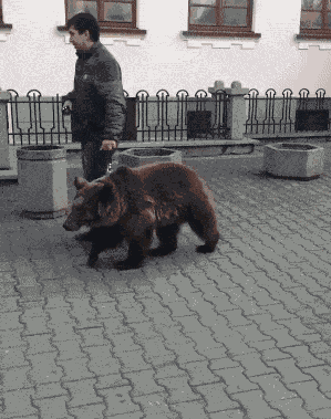 搞笑gif趣图:我就想知道录像的人是怎么躲避过去这波攻击的