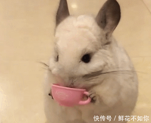 搞笑gif动图:刚招的小保姆,老婆总是对我不放心